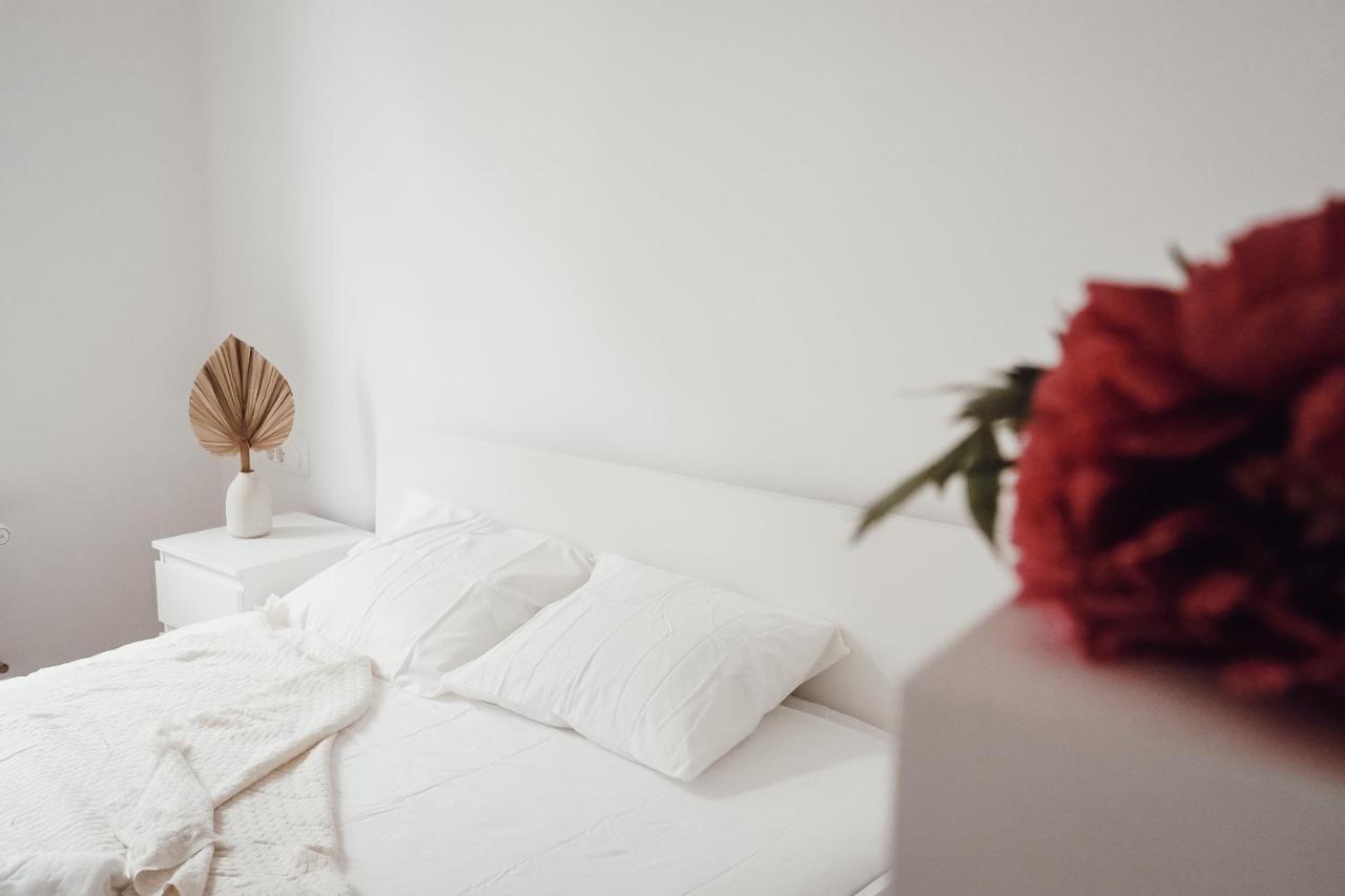 Central Apartment Maister Kranj Dış mekan fotoğraf
