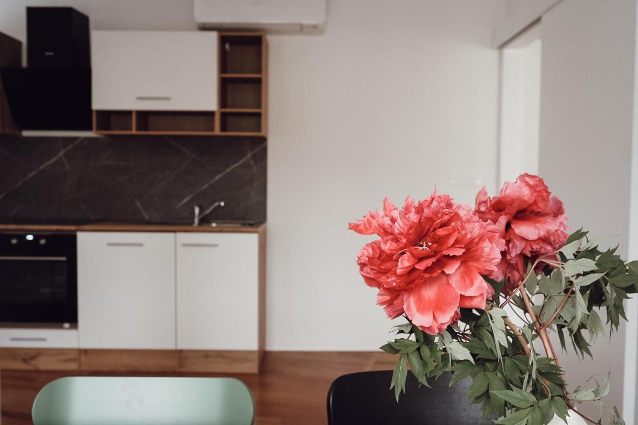 Central Apartment Maister Kranj Dış mekan fotoğraf